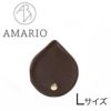 AMRIO